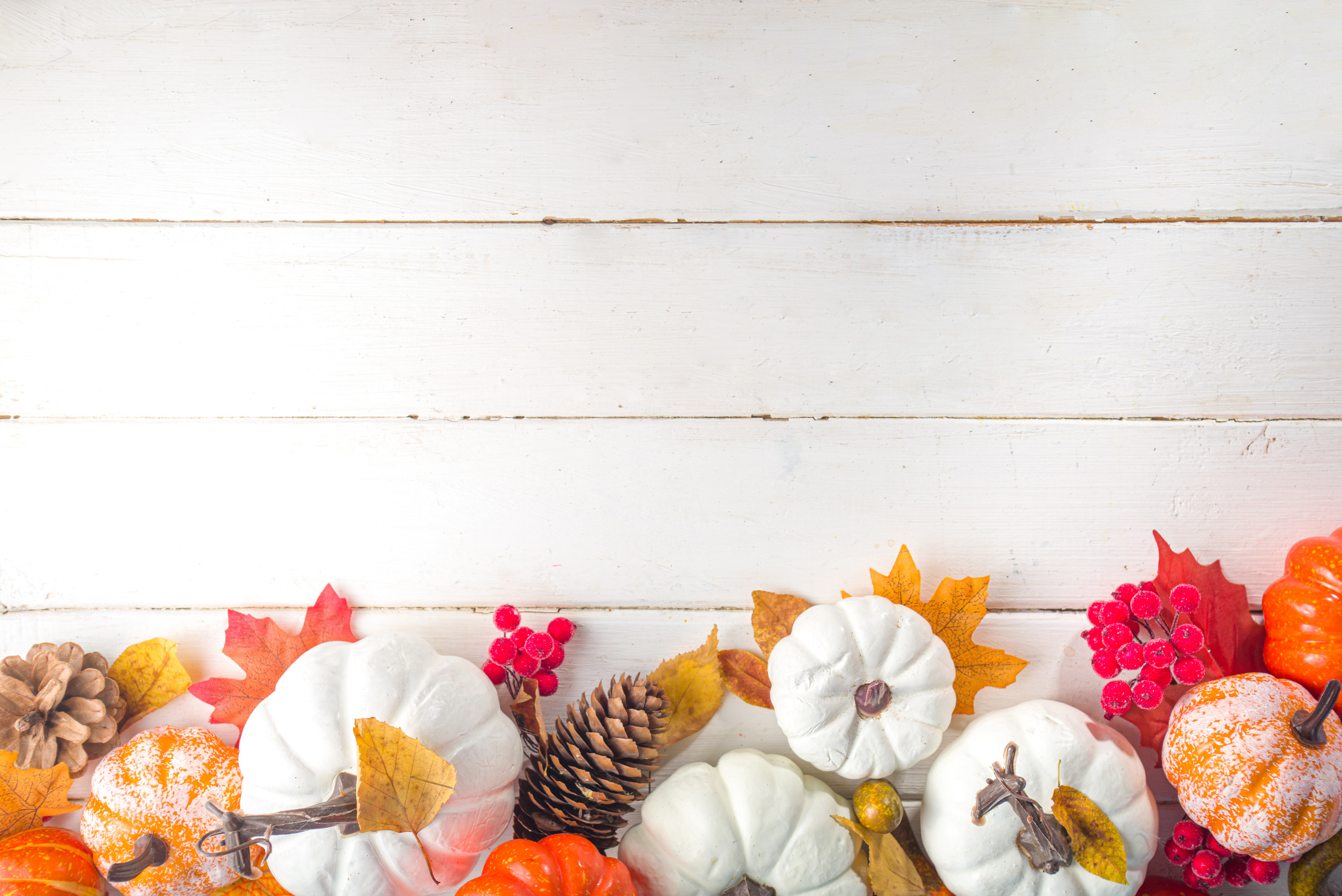 Thanksgiving Background with Pumpkins